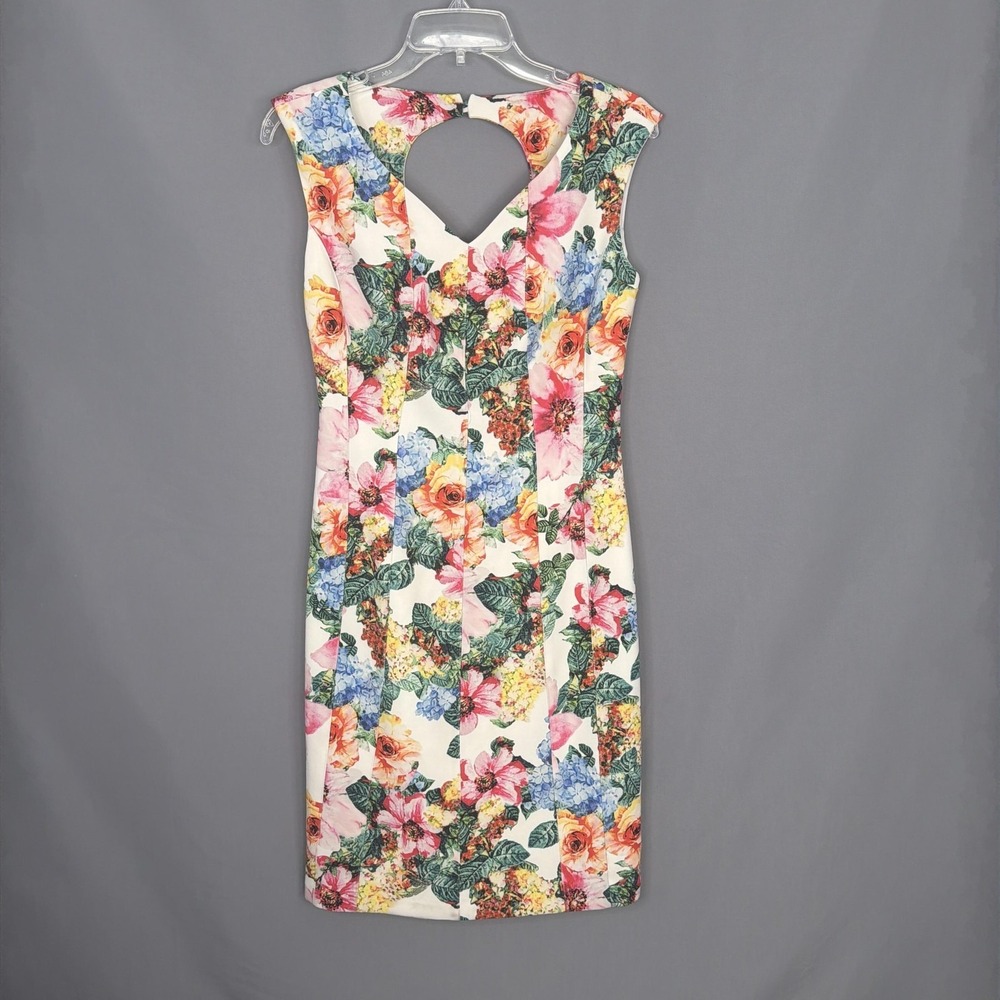 J Peterman Dress Size 2 Floral Sleeveless Sheath Summer Party Cocktail Wedding